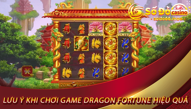 Lưu ý khi chơi game Dragon Fortune hiệu quả